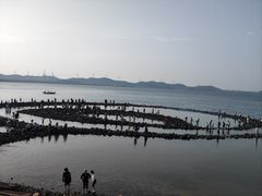 -长江澳风力发电景观区
