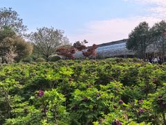 -洛阳市隋唐城遗址植物园