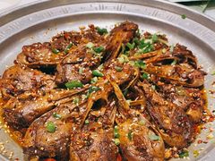 -巴渝菜舍曾氏麻辣风(霸州店)