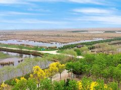 -南大港湿地风景区
