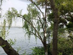 -苏堤停车场
