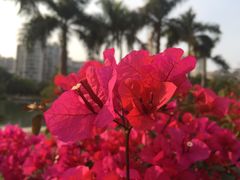 -江头公园