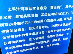 -厦门海底世界