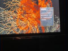 -同济大学四平路校区深海探索馆