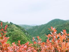 -磐安十八涡风景区