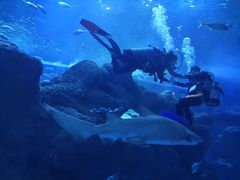 -成都浩海立方海洋公园