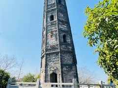 -上海佘山国家森林公园天马山园