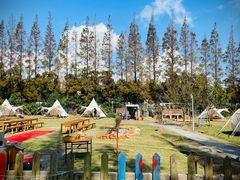 -前小桔亲子创意农场·草莓采摘·露营烧烤