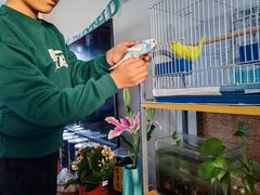 -花鸟鱼虫鲜花绿植市场(玉泉路店)