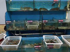 水产区-兆辉木炭海鲜烧烤·海鲜小炒