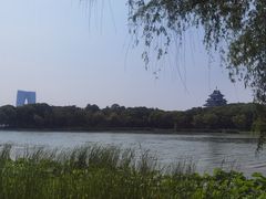 -金鸡湖桃花岛