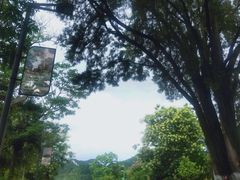 -花溪公园