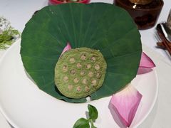 -叶叶菩提·晋福宫