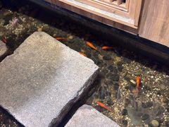 -邈墨茶馆(凤起路店)