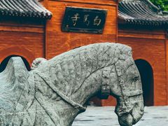 -洛阳白马寺