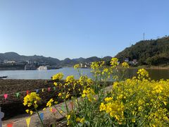 -新安江山水画廊风景区