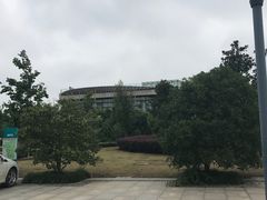 -九里河湿地公园