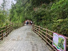 -梁野山景区