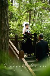 -巴黎经典婚纱摄影PARISSIC