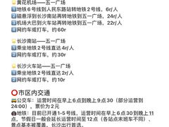 -圣爵菲斯大酒店(长沙世界之窗店)