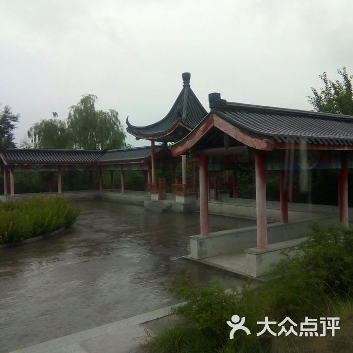 娄烦森林公园