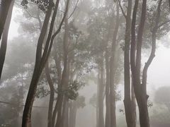 -南山植物园