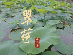 -云岗森林公园