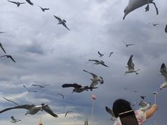 -海驴岛(荣成市)