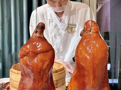 -京彩臻品火锅