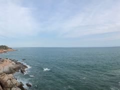 -广东惠东海龟国家级自然保护区