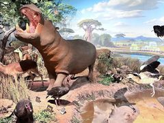 -陕西自然博物馆