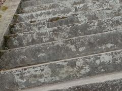 -江西阳明山国家森林公园