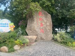 -西湖游船
