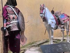 -四川大学博物馆