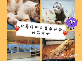 迎着暖风去看看可爱的萌宠吧
