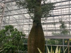 -南山植物园