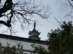 -苏州上方山国家森林公园