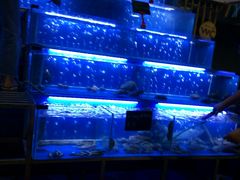 -QQ海鲜餐厅