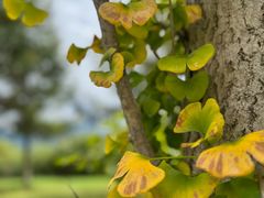 -上海春城-一期