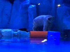 -上海滴水湖皇冠假日酒店