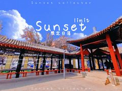 -桃花堤公园