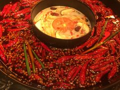 -蜀大侠火锅(建设路第五大道店)