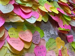 -阿信厚吐司(曾厝垵店)