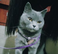 -首珥假日美睫美甲