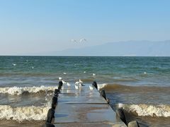 -月亮湾湿地公园
