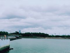 -深圳湾公园(南山区)