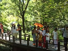 -国家植物园南园