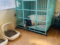 -小时光咖啡馆(开森度假森林店)