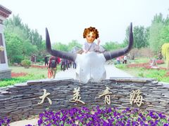 -武清南湖绿博园