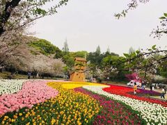 -苏州上方山国家森林公园